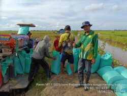 Program OPLAH Dorong Peningkatan Hasil Panen Padi di Desa Bumi Pratama Mandira hingga ±50 Persen